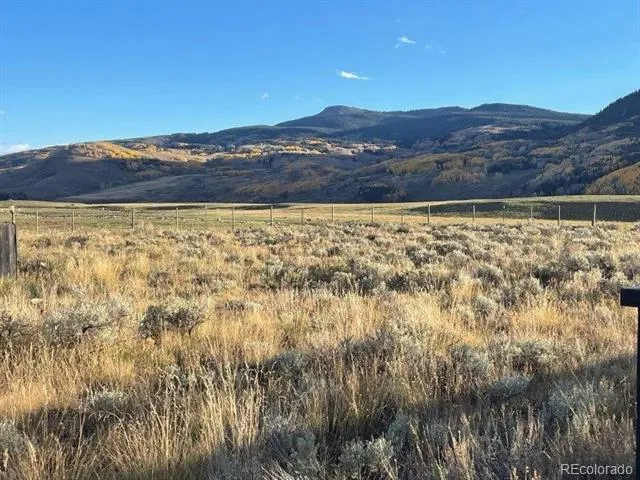 84 Chestnut Lane Crested Butte, CO 81224