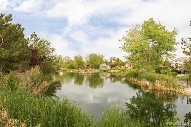 3 Avocet Circle Thornton, CO 80241