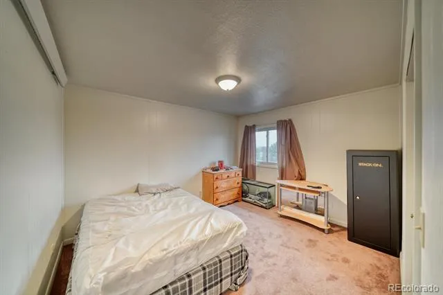 29975 US Highway 24 Buena Vista, CO 81211