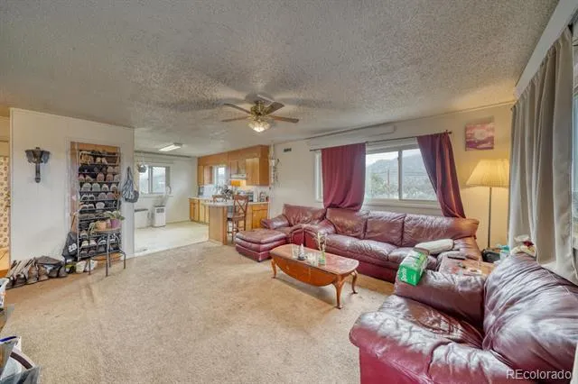 29975 US Highway 24 Buena Vista, CO 81211
