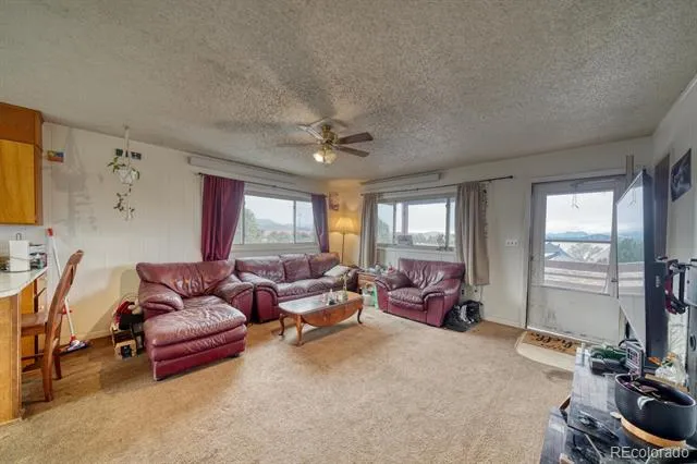 29975 US Highway 24 Buena Vista, CO 81211