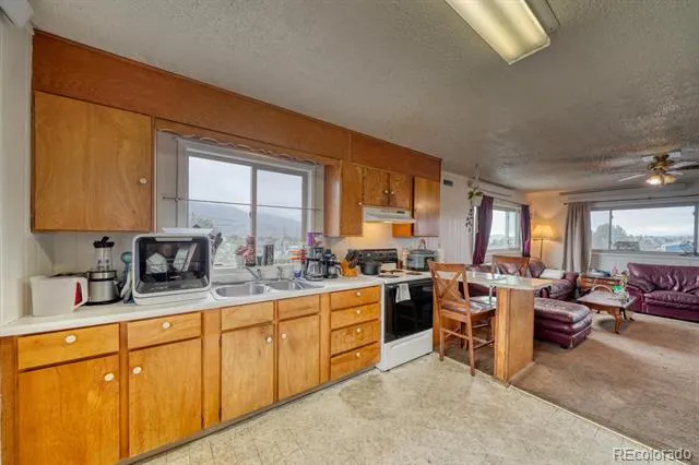29975 US Highway 24 Buena Vista, CO 81211
