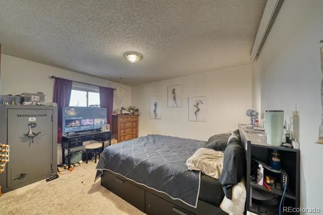 29975 US Highway 24 Buena Vista, CO 81211