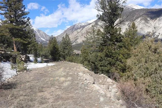 Falcon Drive Nathrop, CO 81236
