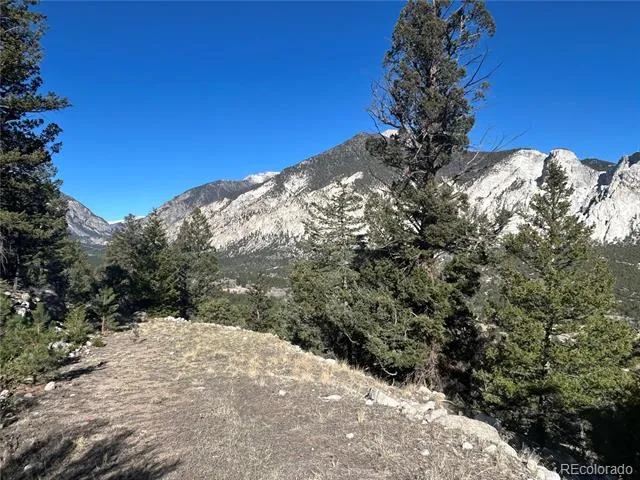 Falcon Drive Nathrop, CO 81236