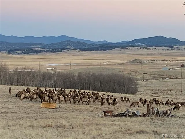 Michigan Hill Road Jefferson, CO 80456