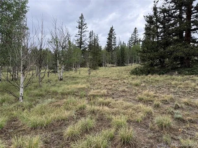 383 Spearpoint Road Como, CO 80456