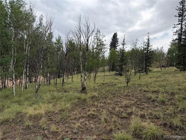 383 Spearpoint Road Como, CO 80456