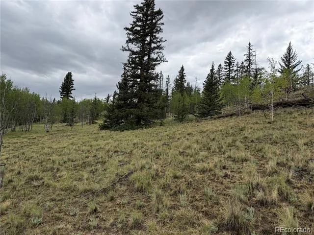 383 Spearpoint Road Como, CO 80456