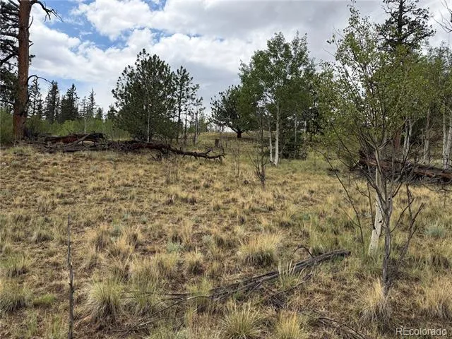 383 Spearpoint Road Como, CO 80456