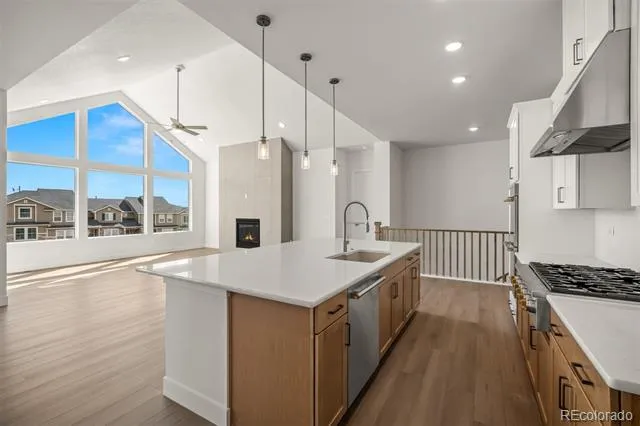 17113 Alsike Clover Court Monument, CO 80132