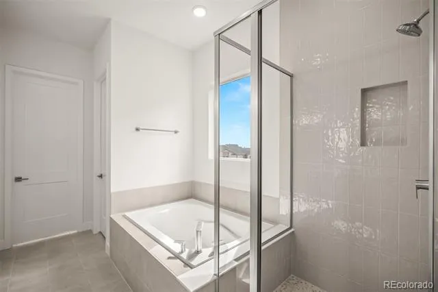 17113 Alsike Clover Court Monument, CO 80132