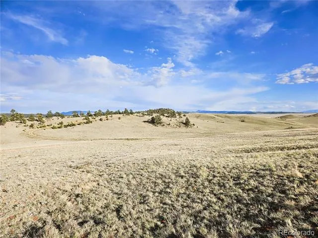 PCS#24142 Antero Road Hartsel, CO 80449