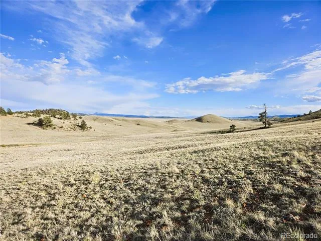 PCS#24142 Antero Road Hartsel, CO 80449