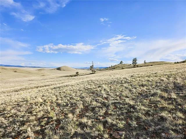 PCS#24142 Antero Road Hartsel, CO 80449