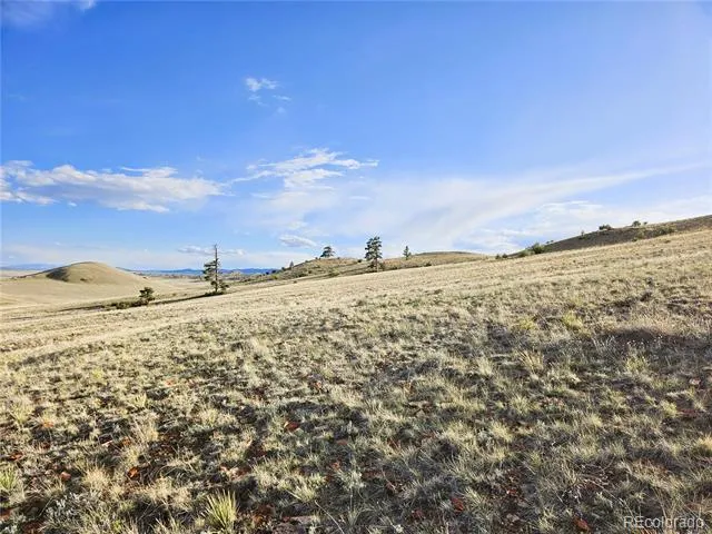 PCS#24142 Antero Road Hartsel, CO 80449