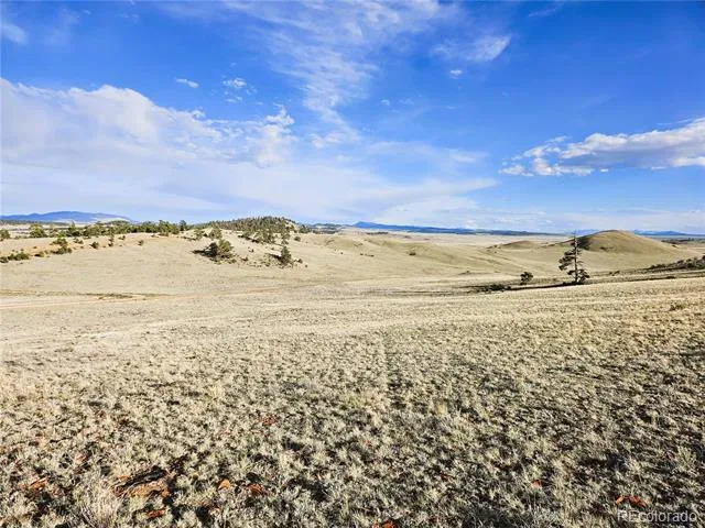 PCS#24142 Antero Road Hartsel, CO 80449