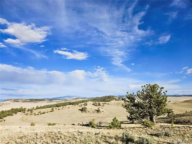 PCS#24142 Antero Road Hartsel, CO 80449