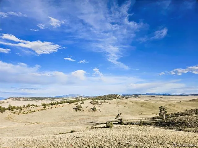 PCS#24142 Antero Road Hartsel, CO 80449