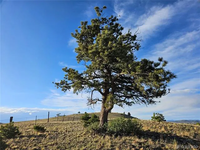 PCS#24142 Antero Road Hartsel, CO 80449