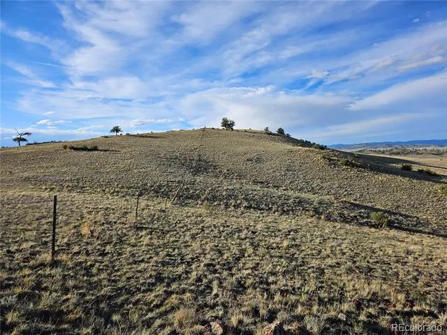 PCS#24142 Antero Road Hartsel, CO 80449