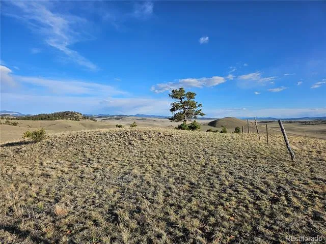 PCS#24142 Antero Road Hartsel, CO 80449