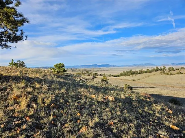 PCS#24142 Antero Road Hartsel, CO 80449