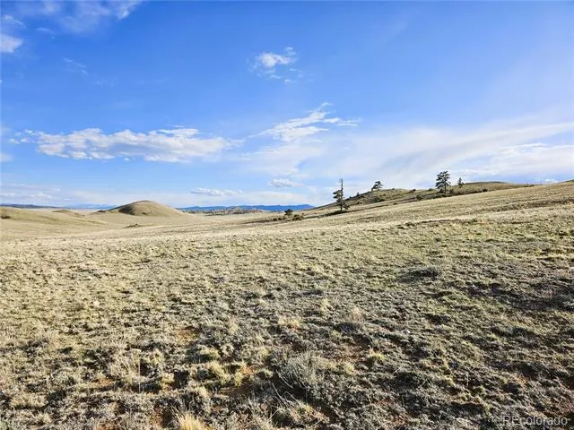 PCS#24142 Antero Road Hartsel, CO 80449
