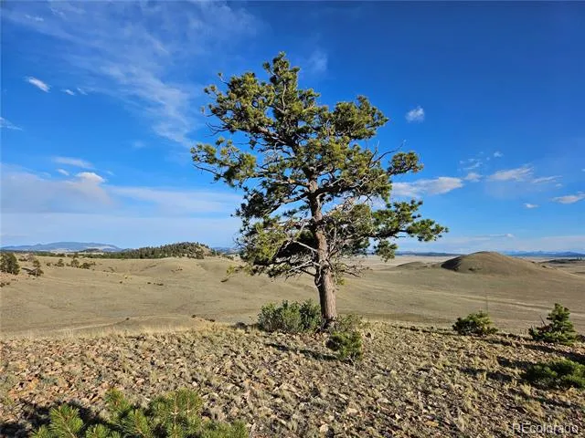 PCS#24142 Antero Road Hartsel, CO 80449