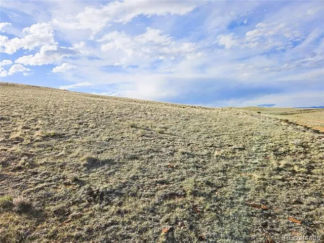 PCS#24142 Antero Road Hartsel, CO 80449