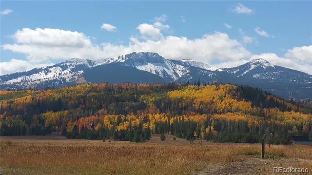 59045 Button Willow Drive Clark, CO 80428