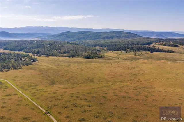 59045 Button Willow Drive Clark, CO 80428