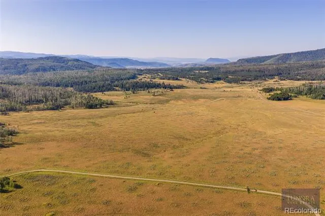 59045 Button Willow Drive Clark, CO 80428