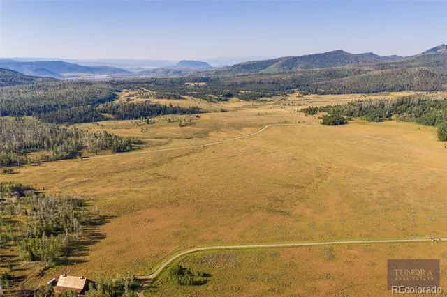 59045 Button Willow Drive Clark, CO 80428