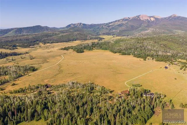 59045 Button Willow Drive Clark, CO 80428