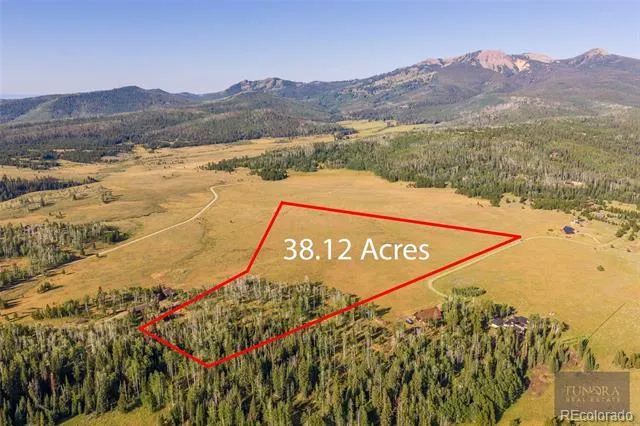 59045 Button Willow Drive Clark, CO 80428