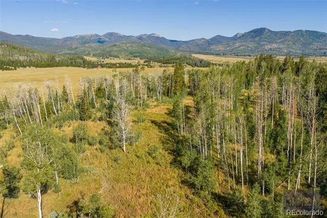59045 Button Willow Drive Clark, CO 80428