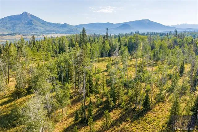 59045 Button Willow Drive Clark, CO 80428