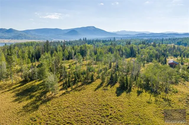 59045 Button Willow Drive Clark, CO 80428