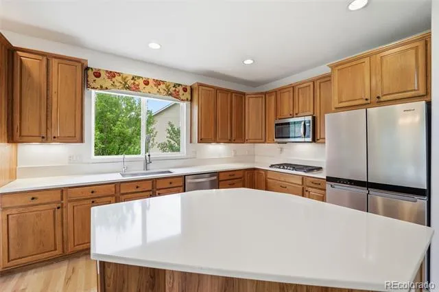 20247 Melanie Ann Court Monument, CO 80132