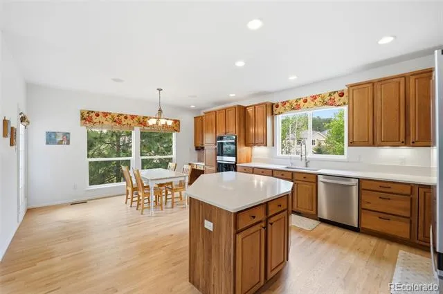 20247 Melanie Ann Court Monument, CO 80132