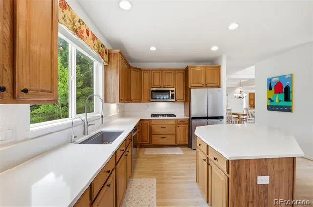 20247 Melanie Ann Court Monument, CO 80132