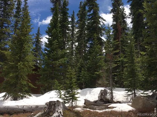 465 Quandary View Drive Breckenridge, CO 80424