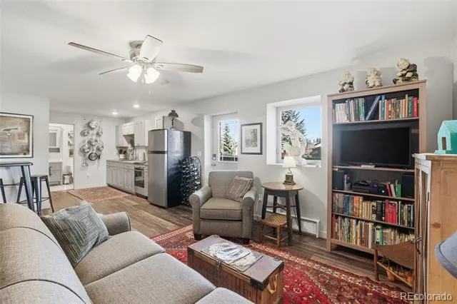507 & 505 Alder Street Leadville, CO 80461