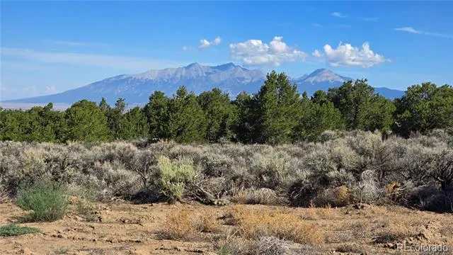 1340 Remson Road Fort Garland, CO 81133