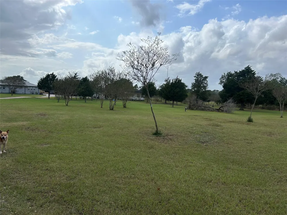 31807 Washington Street Waller, TX 77484