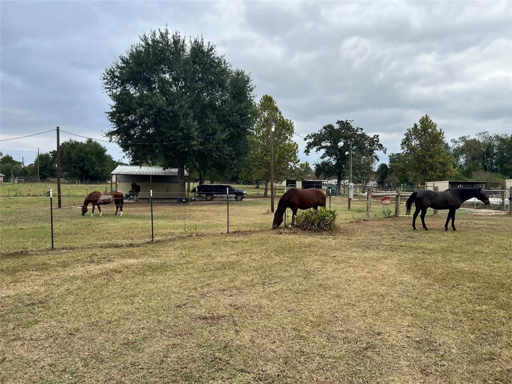 31807 Washington Street Waller, TX 77484