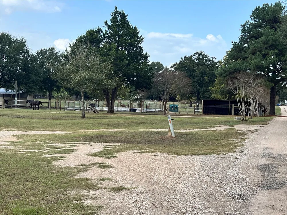31807 Washington Street Waller, TX 77484