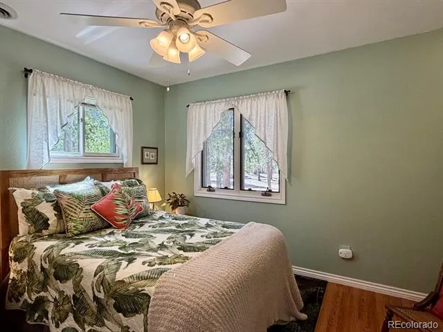 245 Baby Doe Drive Leadville, CO 80461