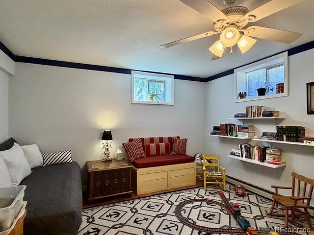 245 Baby Doe Drive Leadville, CO 80461